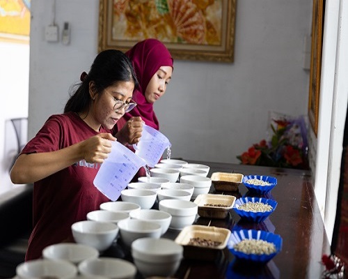 cupping room